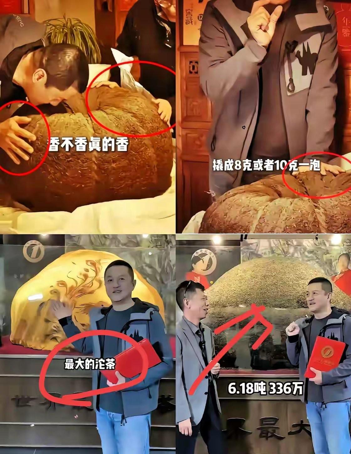 6.18吨的沱茶喝过吗？茶商看了也大破防……

茶，是许多人的最爱。品茗，是许多