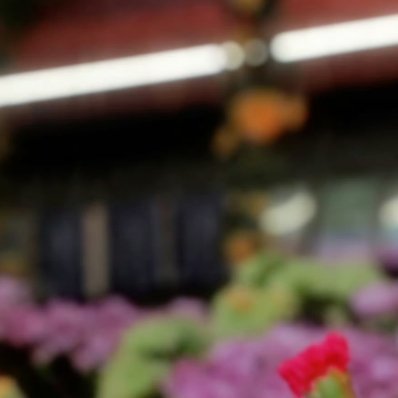 每日一善 🌻阳光信用 🌻每日一善善良是一种修养，善待他人就是善待自己，要想得