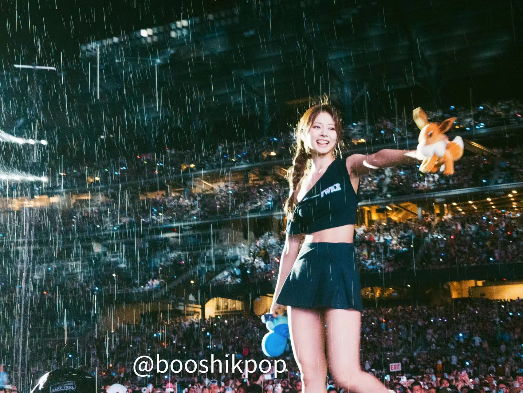 雨中的木槿花Ⓒbooshikpop ​​​