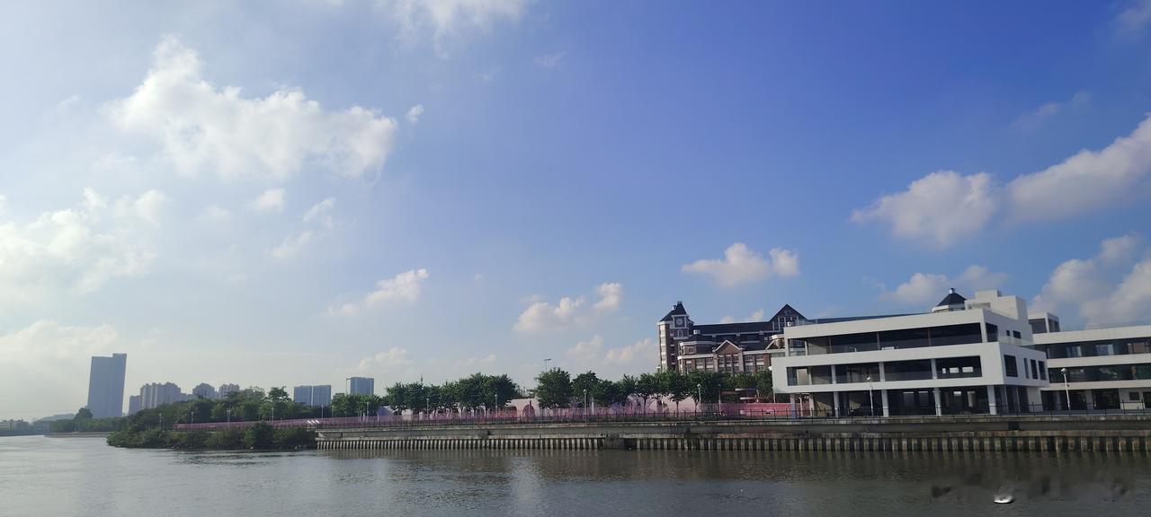 我妈妈已然70岁高龄，可她就是歇不住，每日要干不少农活，还种菜卖菜。她不仅把自家