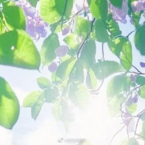 生活总会迎来美好，总会有新的故事值得期待，就像这四季更迭，不慌不忙，该来的都在路