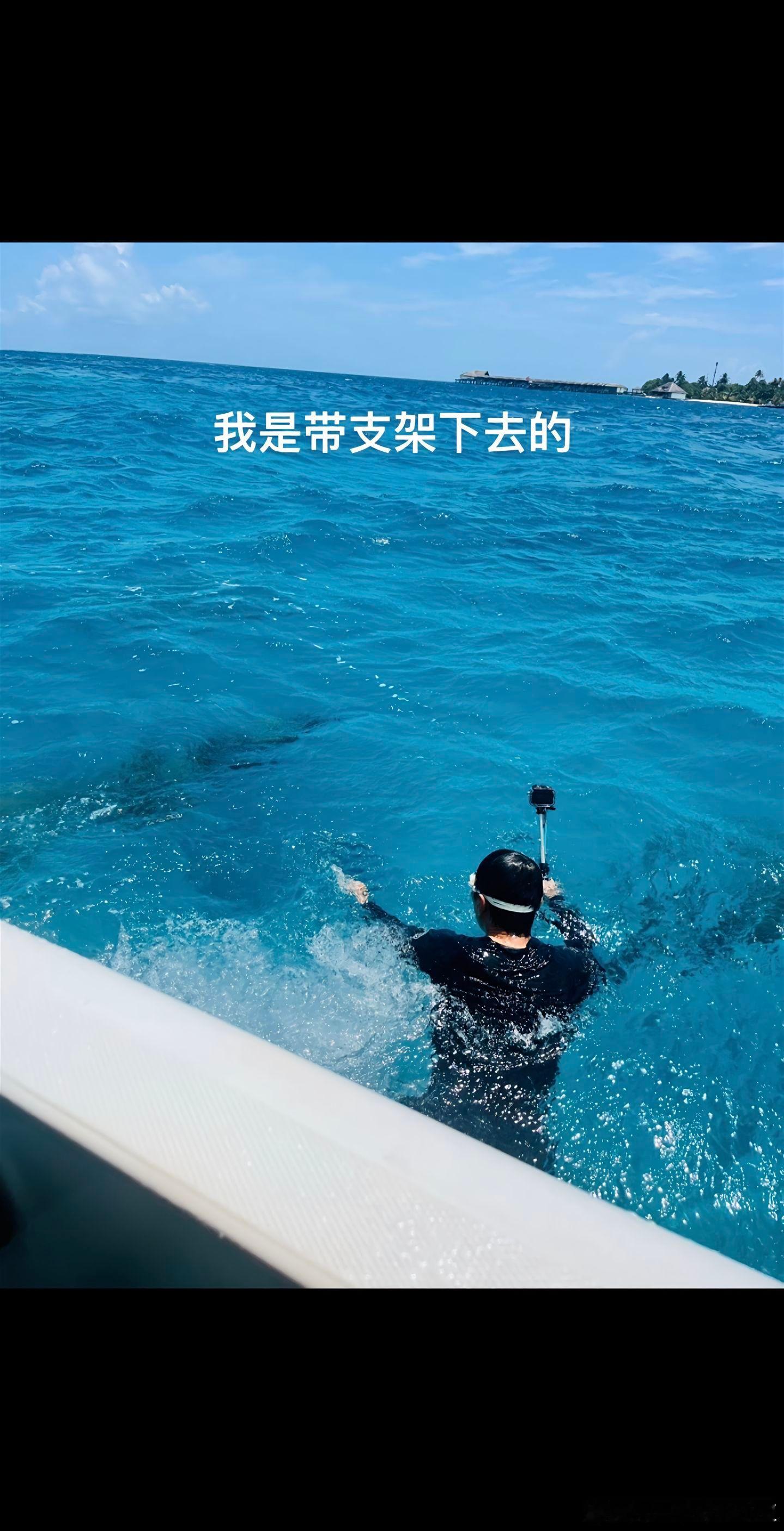 给鲨鱼做了个胃镜 ​​​