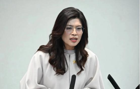 郑丽文这话，打脸岛内多少人！她说和平是“巨大而繁复的工程”，言下之意再清楚不过—