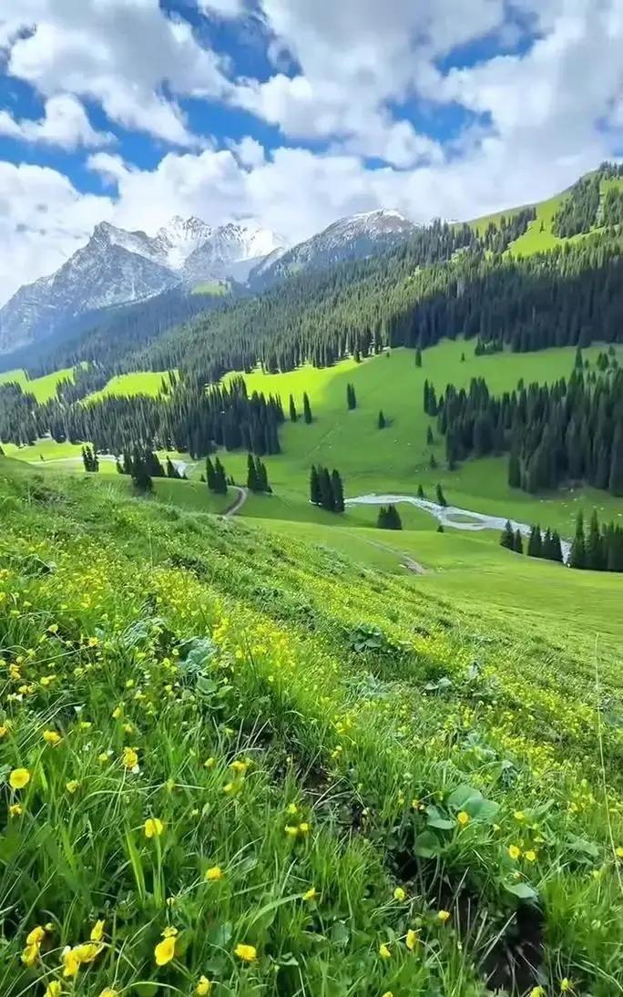 我真是被气得发笑，闺蜜才在我家借住三天，就被婆婆直接请出门了。

前阵子，闺蜜苏