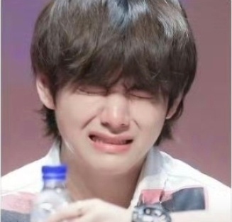 摩西摩西 有人吗 泰泰酱被欺负了ㅠㅠ 