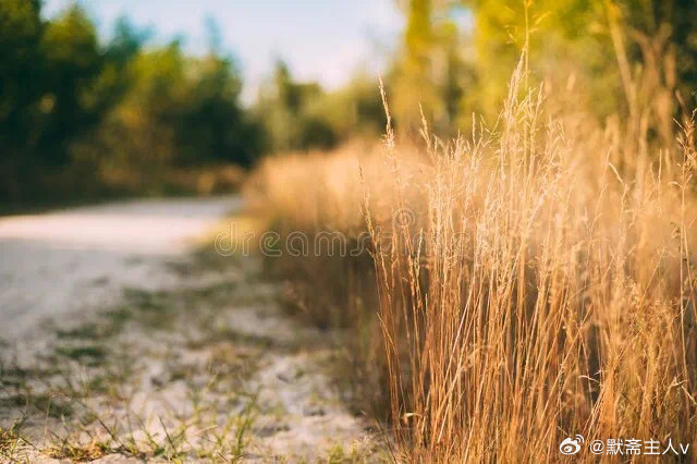 墨镜涵心赋·默斋主人原创骈赋卷首联语墨痕渡远，揽万里烟霞藏方寸灵台；心镜涵虚，振