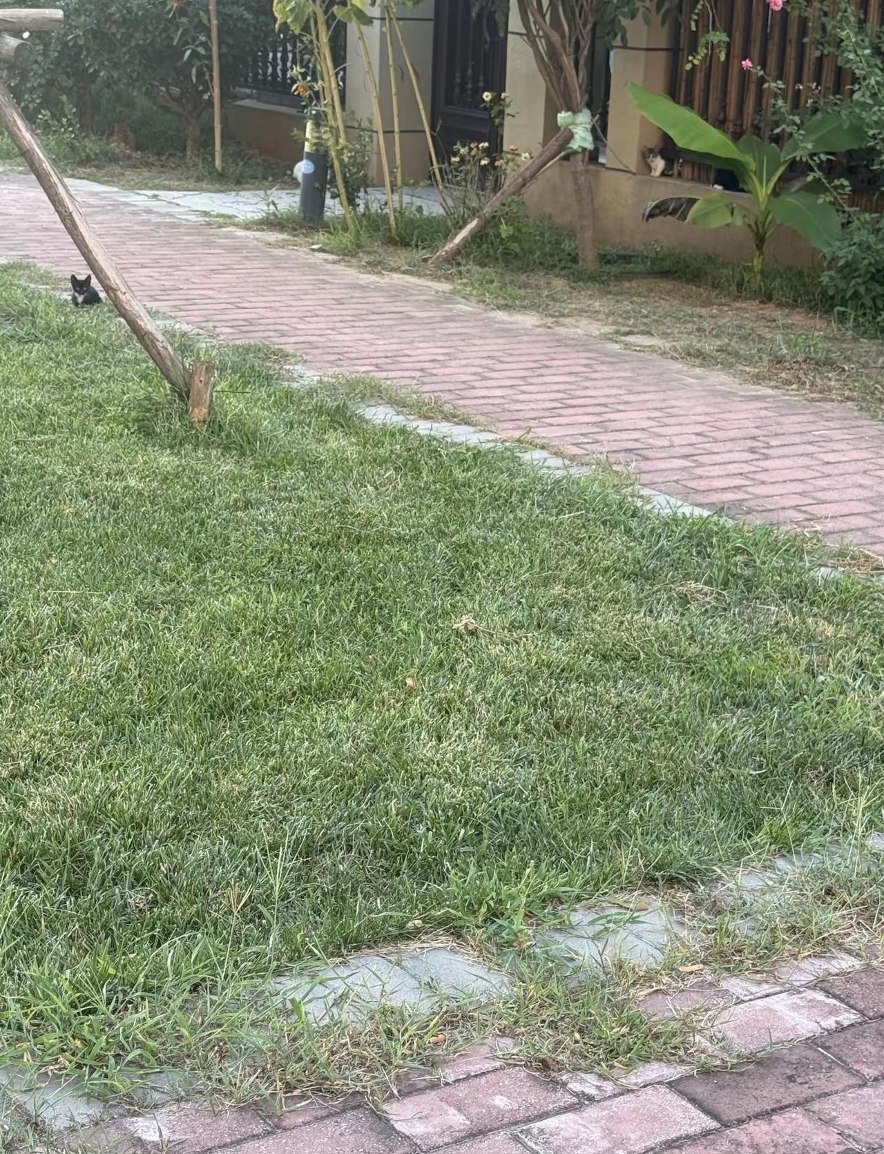 真正的富有，是身边没有消耗你的人，择人如择运，近静者安，近杂者乱，近愚者祸，与清
