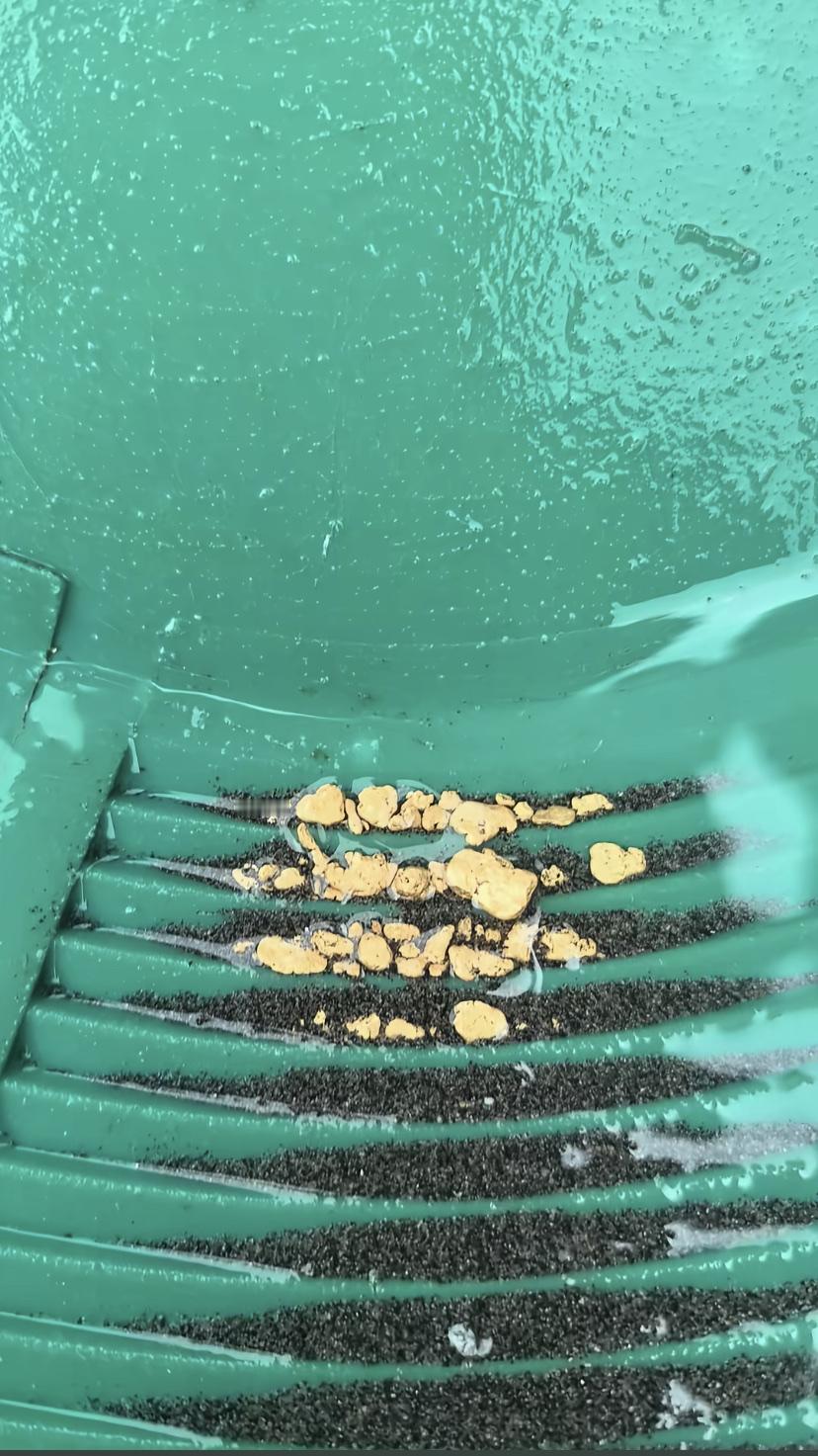 一位网友在网上展示出来的，他在一处小河沟淘得黄金！

这都不属于金沙了，这个大颗