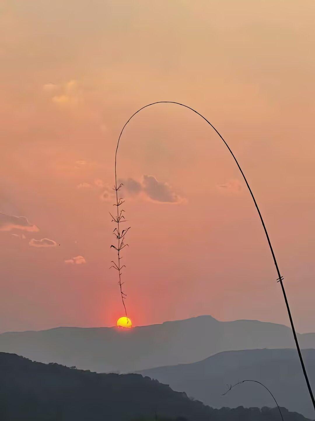 重生之我在诸天垂钓太阳