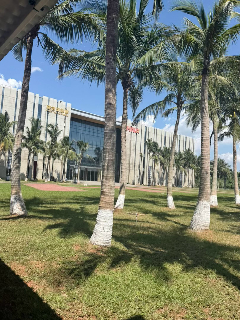 海口你在空气里加了什么…好热🥵 