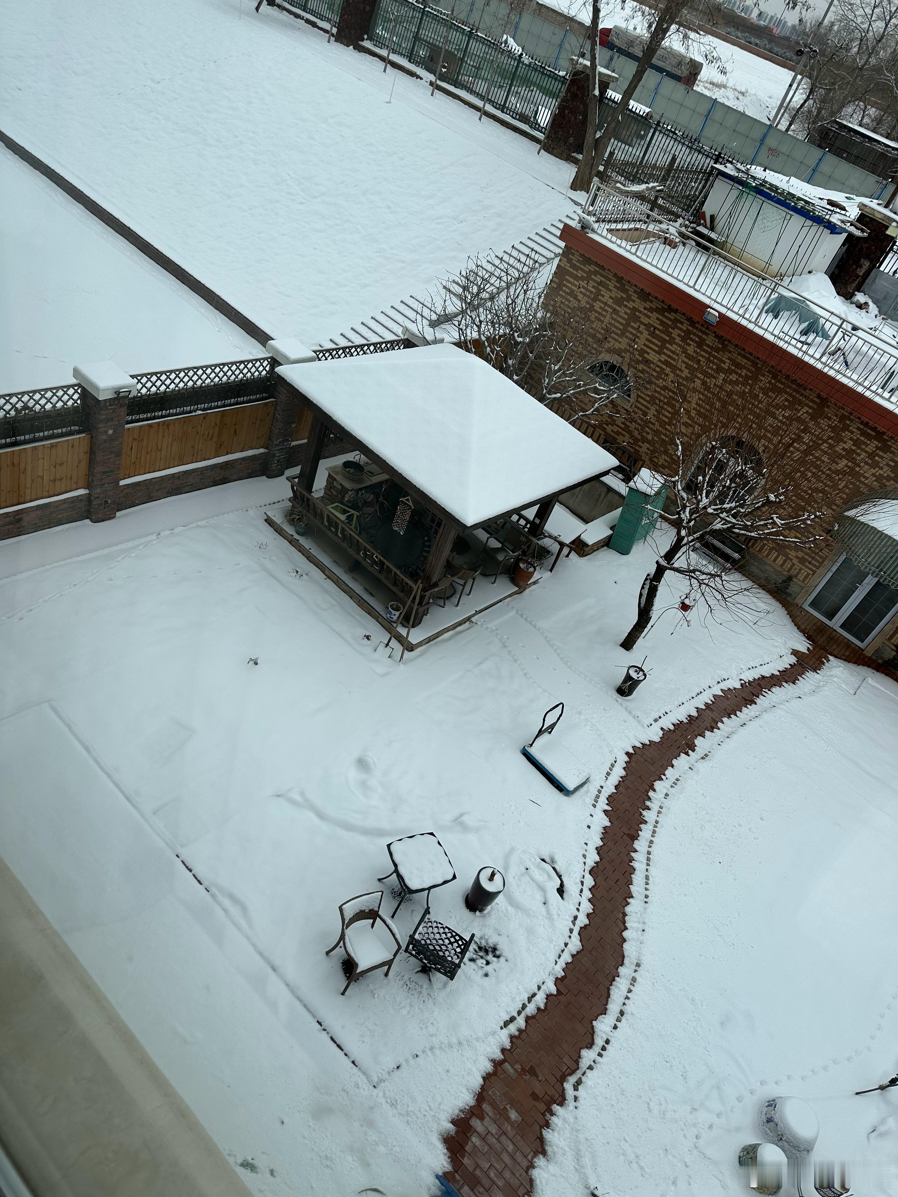 北京的最后一场雪[并不简单] ​​​