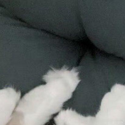 每日一善阳光信用 每日‬一善每日一善你好一起保护大自然与社会携手做公益关爱唇腭裂