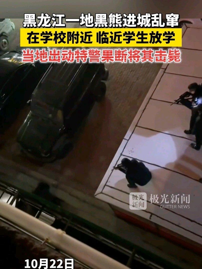 2025年10月22日晚9点多，一只约400斤的成年黑熊闯进黑龙江双鸭山宝清县城