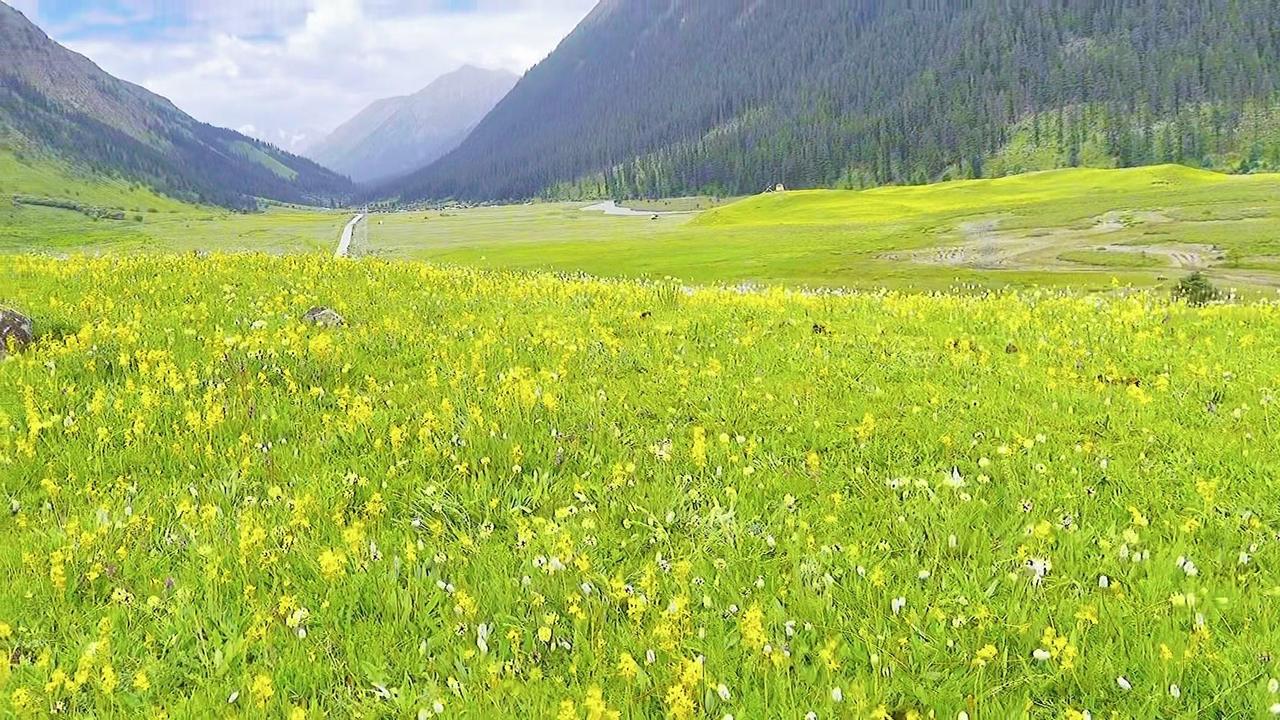 原以为是8000步的计划，实际跨出18000步到草甸。风掠过发梢，脚下是柔软的草