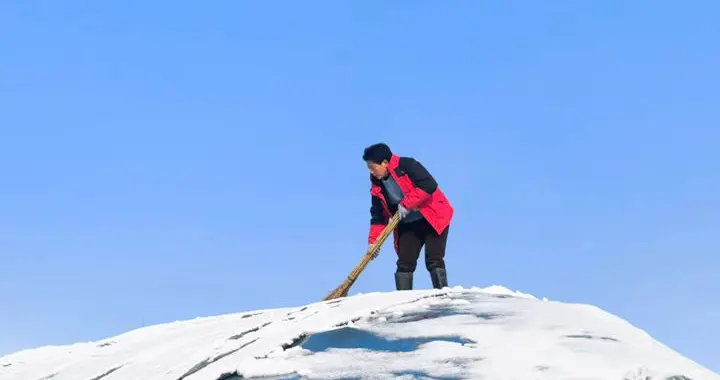 农科院专家拍了拍你：雪天看田，就看这几点
