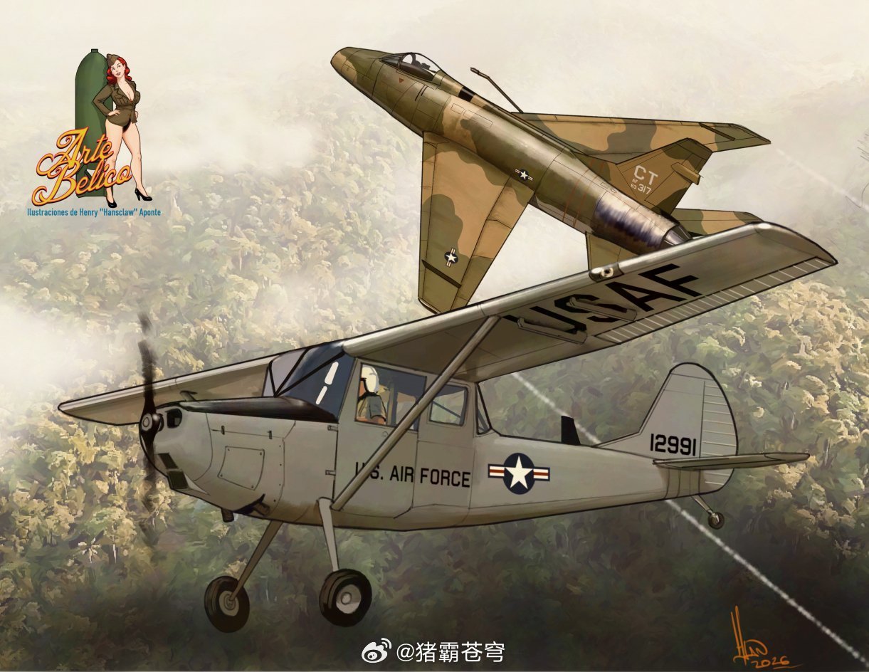 塞斯纳 O-1 是一种轻型观察和联络飞机，在 1960 年代初的越南战争中发挥了