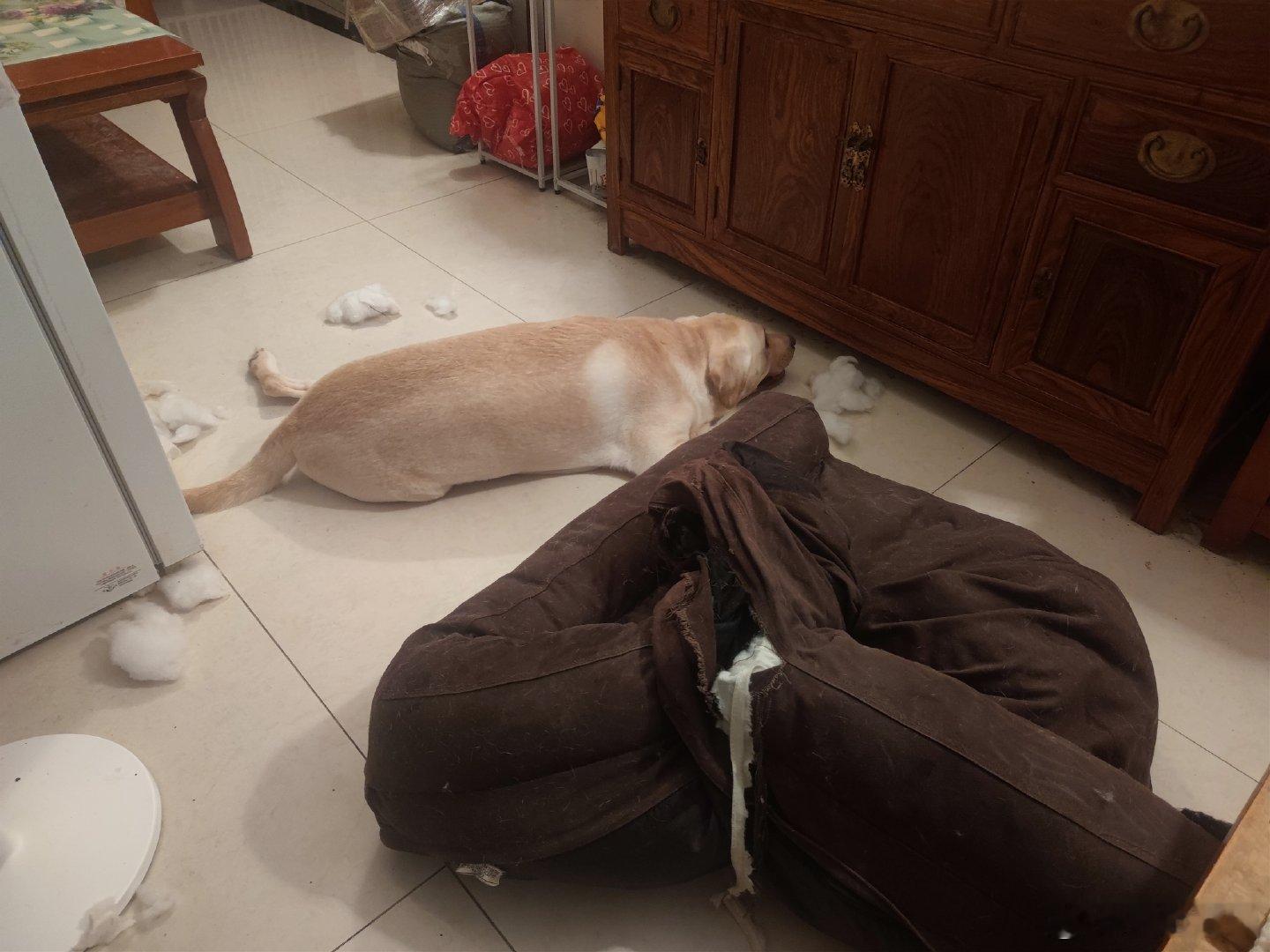 搞破坏的大冬瓜[允悲][允悲][允悲] ​​​