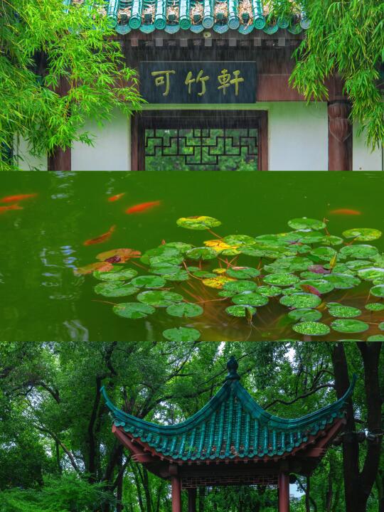 武汉东湖居然还有这个地方，我真是井底之蛙
