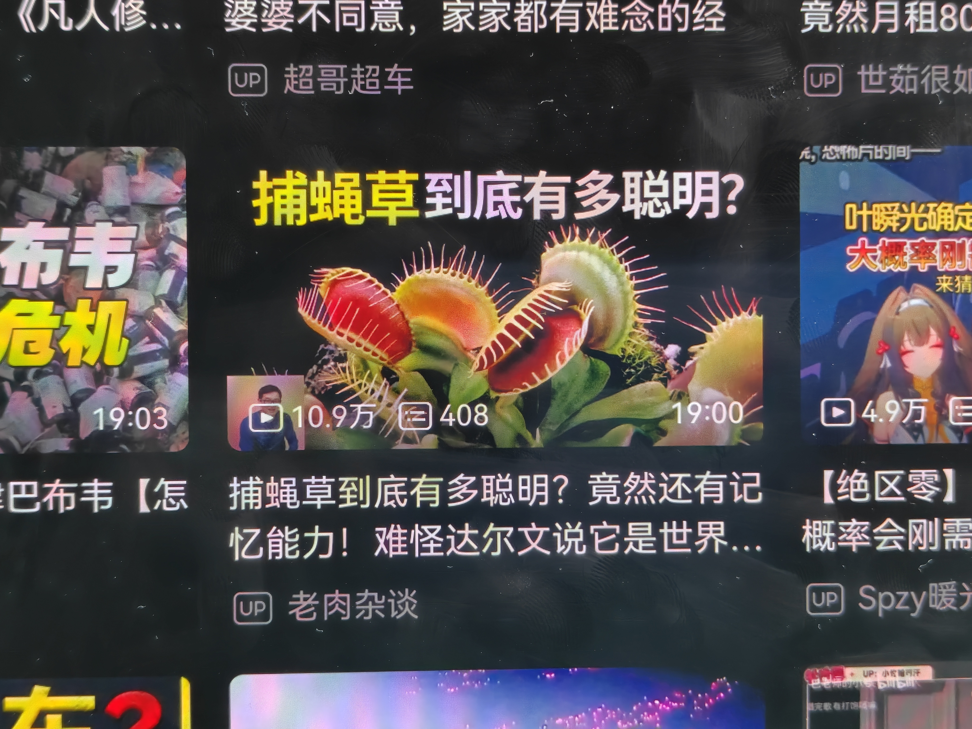 聪明是聪明，就是不好养活[泪奔] ​​​