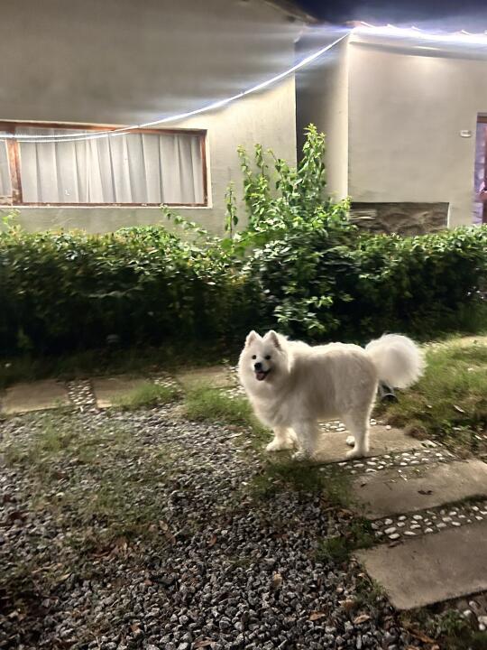 耶管家:顾客您好，您今晚住这间