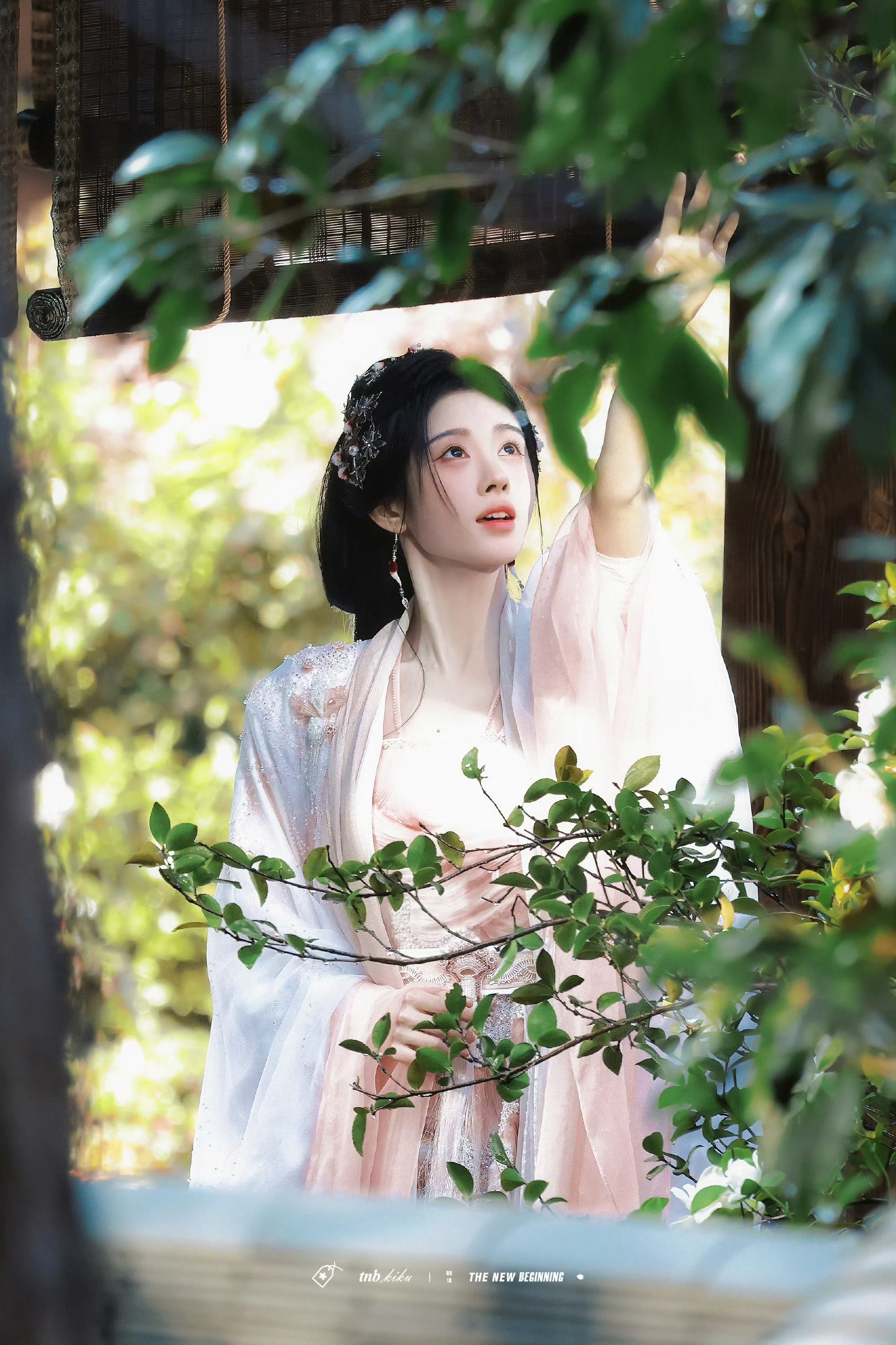 🍊鞠婧祎苏绿夏 🍊鞠婧祎万花世界 我的心跳是蝴蝶振翅的频率，只有你能听见那场