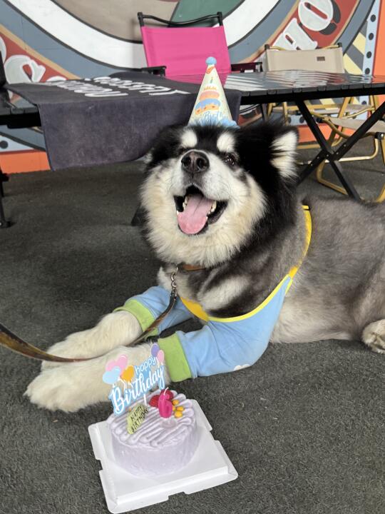 生日快乐呀！六岁啦