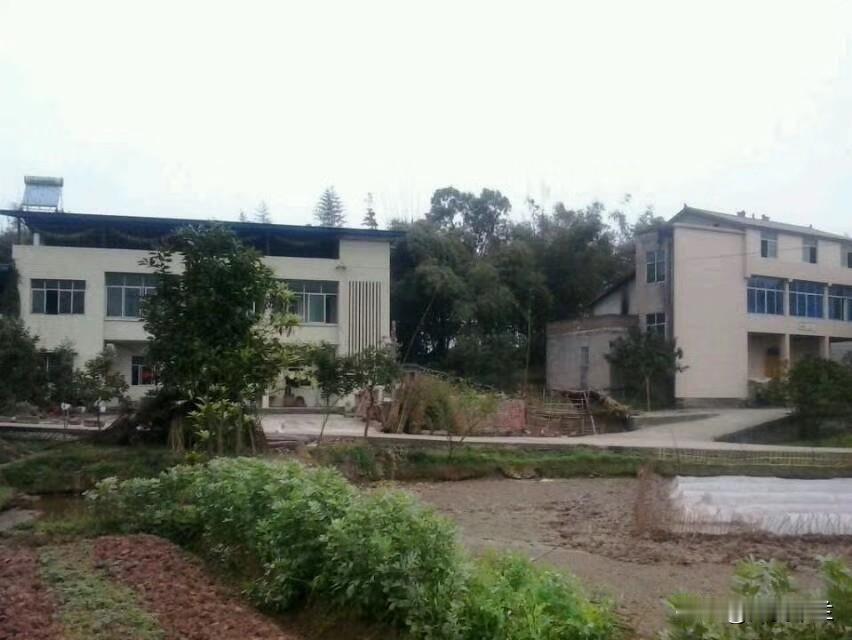 1976年我呱呱坠地了，是父母的第三个孩子，还没岀月，比我大三岁的哥哥就因脑膜炎