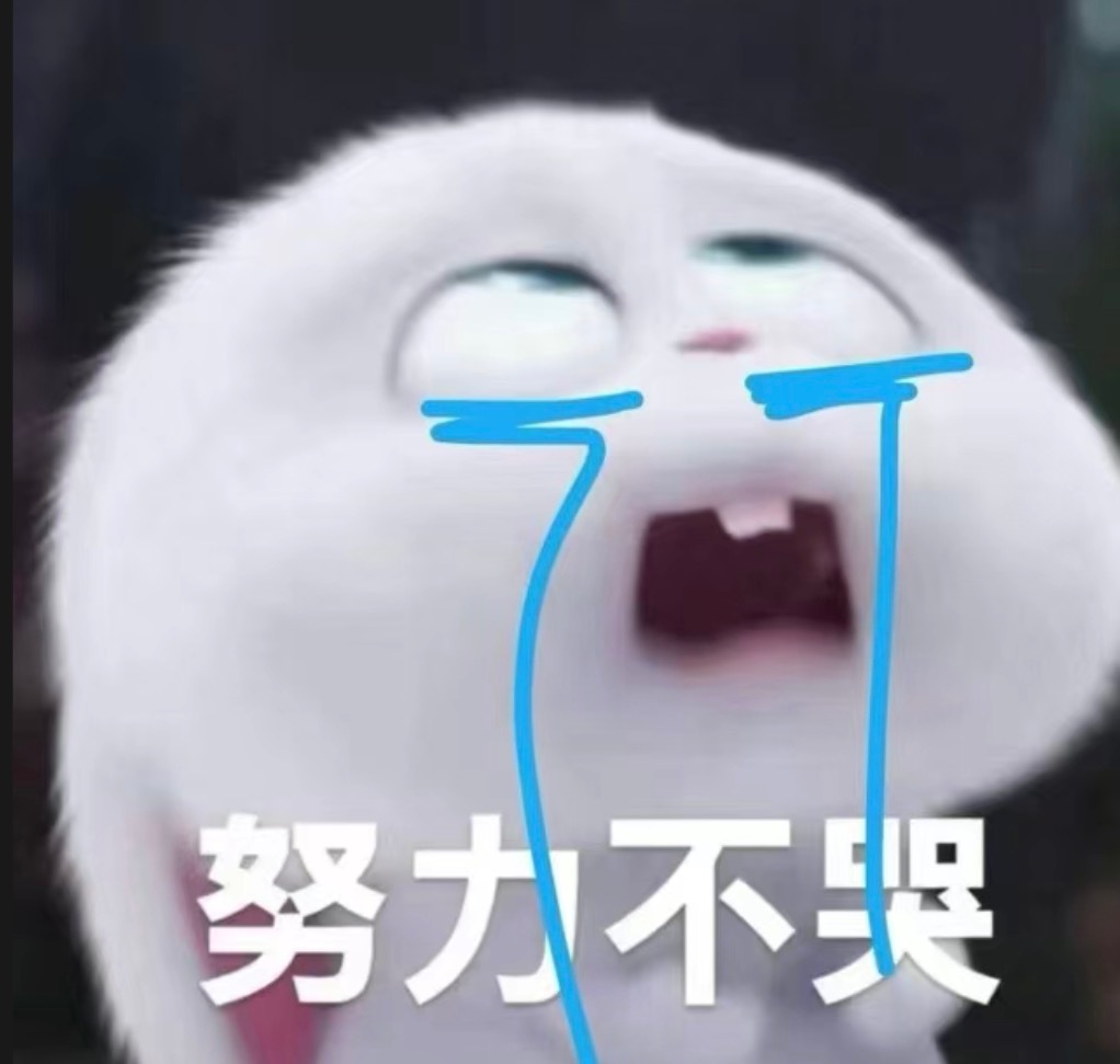 我俩聊内个了 