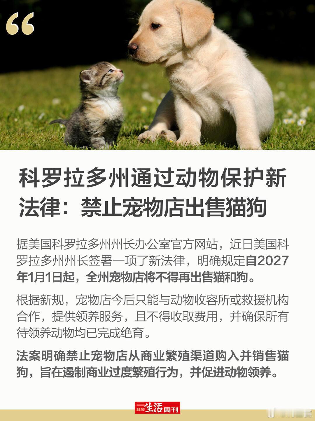 科罗拉多州通过动物保护新法律：禁止宠物店出售猫狗据美国科罗拉多州州长办公室官方网