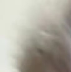 0000善感恩生活，它是一个神奇的宝藏。每一次呼吸，都是生命的馈赠；每一个新的挑
