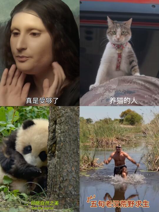 🆘救命‼️熬夜都要看完的4️⃣部高分纪录片‼️