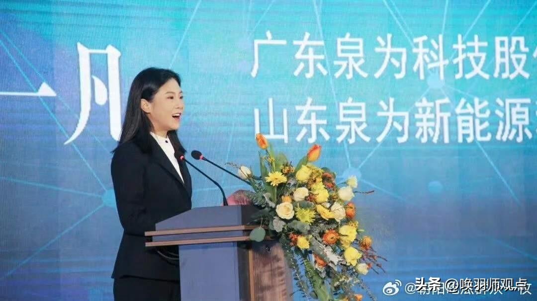 95后“创业女神”栽了！ST泉为及实控人被立案，光伏神话破灭

3月19日，ST