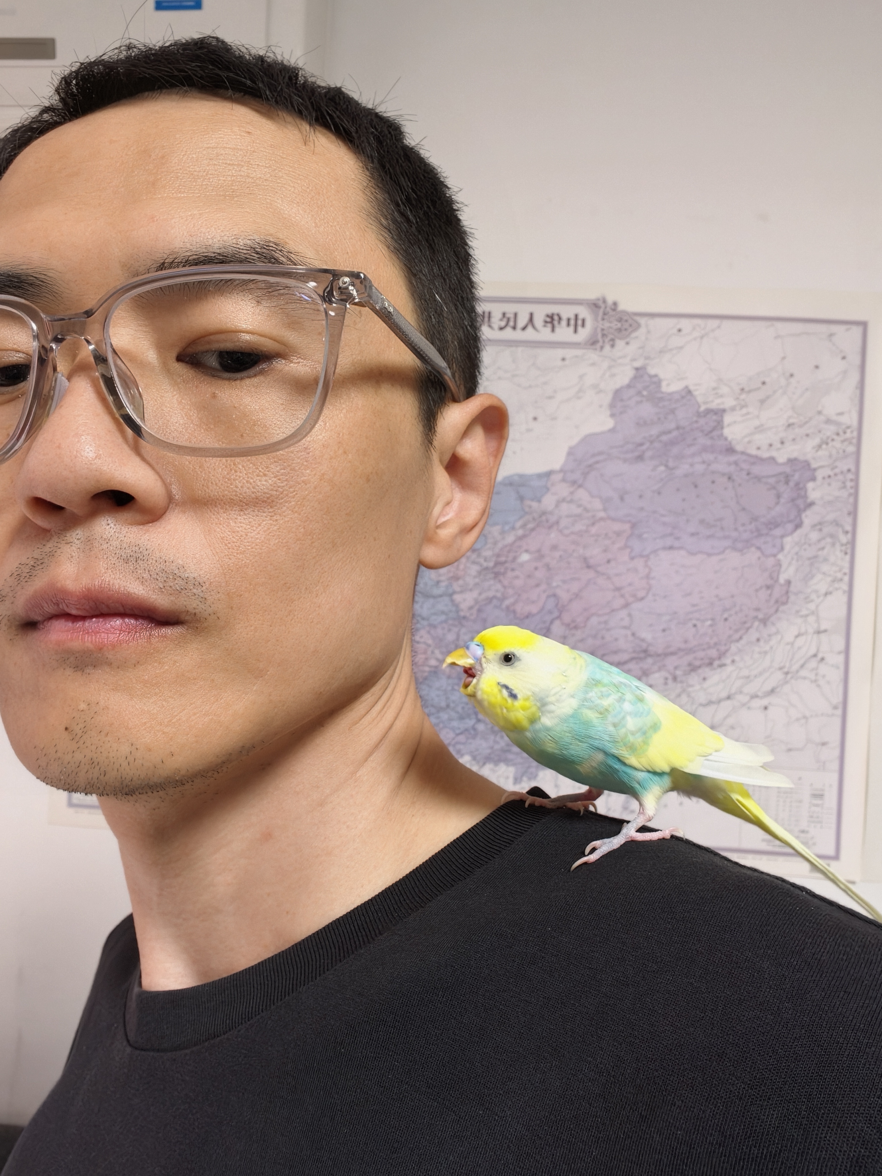 小蓝张开了血盆大口，向我发起了攻击鹦鹉小蓝和布丁