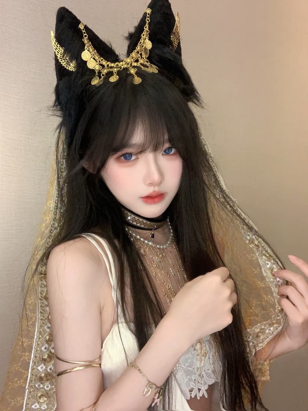 异域小猫🐱