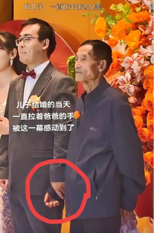 看哭了！南京，儿子在大城市结婚，农村老父亲在台上十分紧张，儿子发现后，全程牵着父