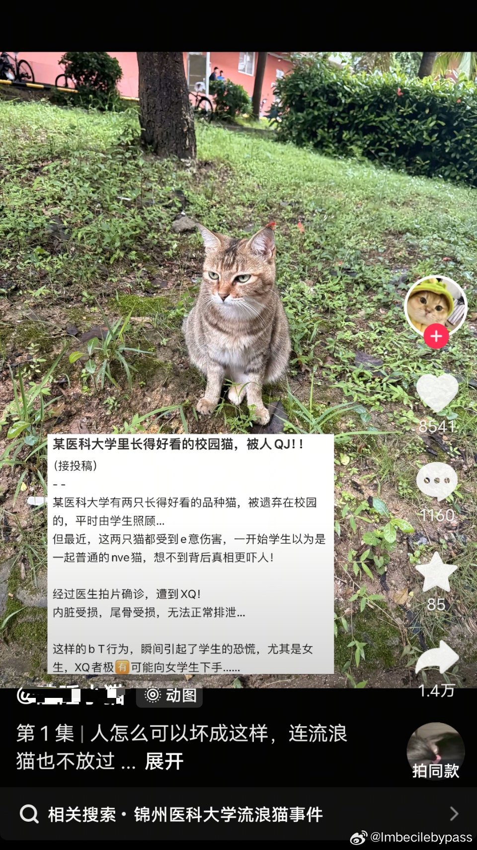 这是中文？ 