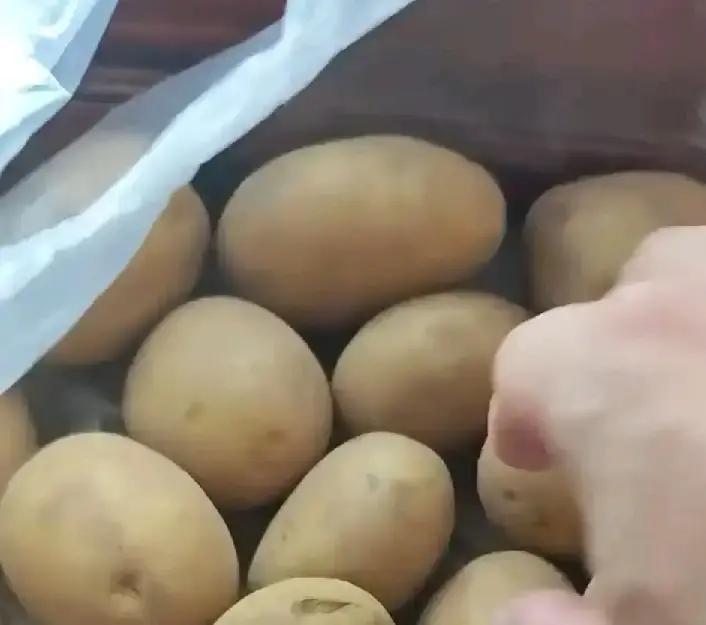 儿子跟我说，妈，以后你就专挑小土豆买，那样烤着吃不心疼

听完这话，我心里真不是