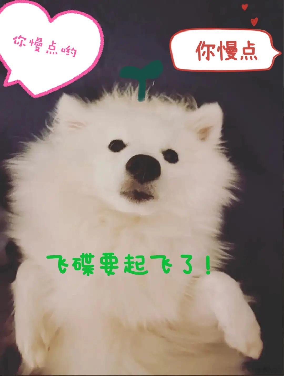 #邓伦# [哇][哇][哇]我们家宝贝，全世界最可爱💚❤️ 其实你就是个狐狸精