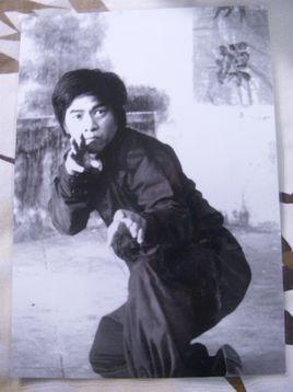 陈秀中，中国香港武术家，人称猴王，“大圣劈挂”古称劈挂拳的第二代传人，香港出生，