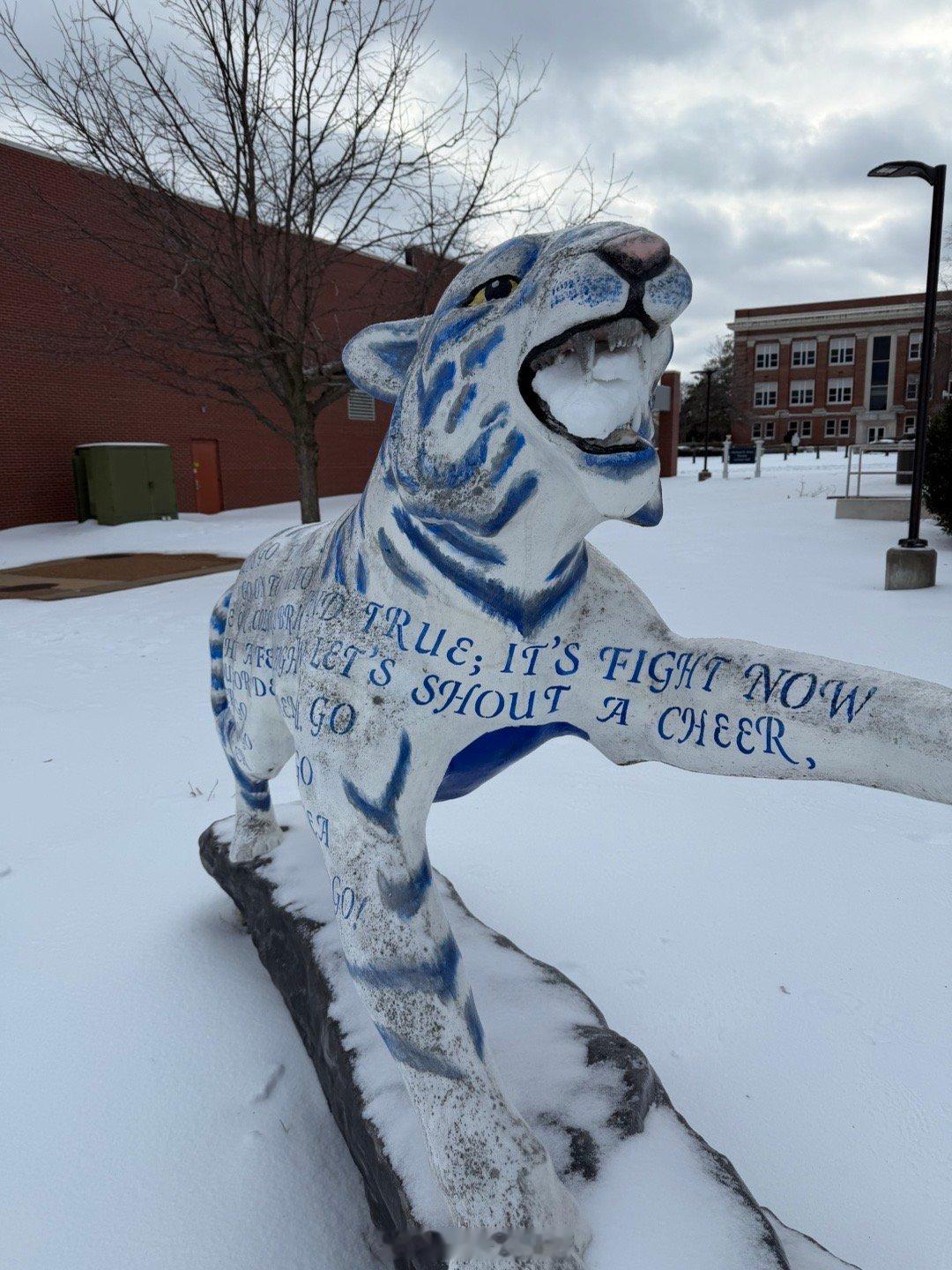 ❄️❄️🧣 美国·孟菲斯