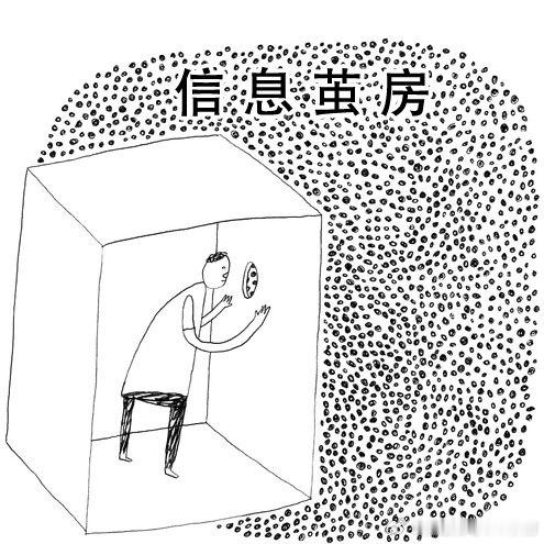 信息茧房（英文：Information Cocoon）是指人们关注的信息领域会习