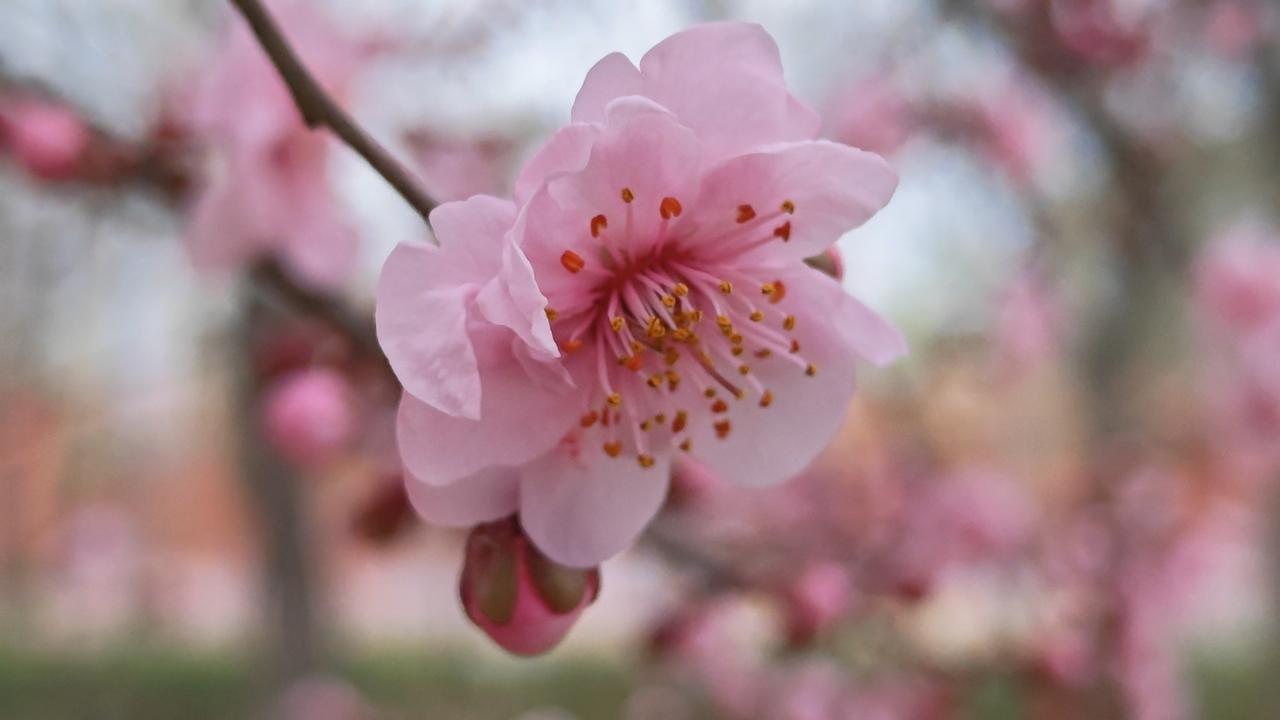 一段让人深思的：“和女人玩，如果发现她漂亮，情商又高，说话滴水不漏，让你感觉很舒