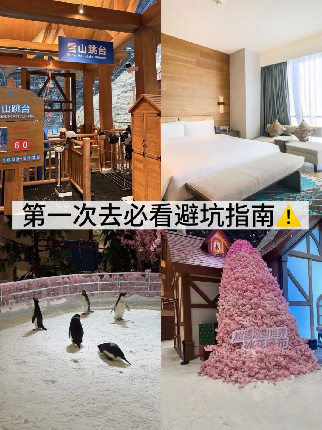 第一次去必看避坑指南⚠️
