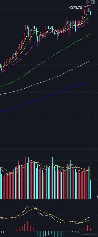 美方加征24%关税继续暂停一年四中全会和十五五规划定调了经济走向。中美首脑会谈定