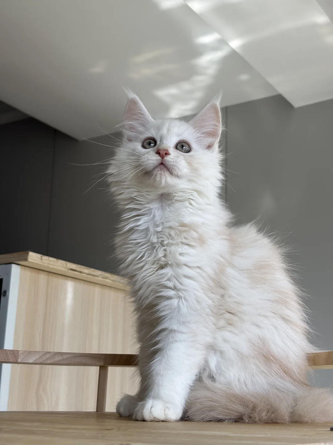 中千以下就能拿？