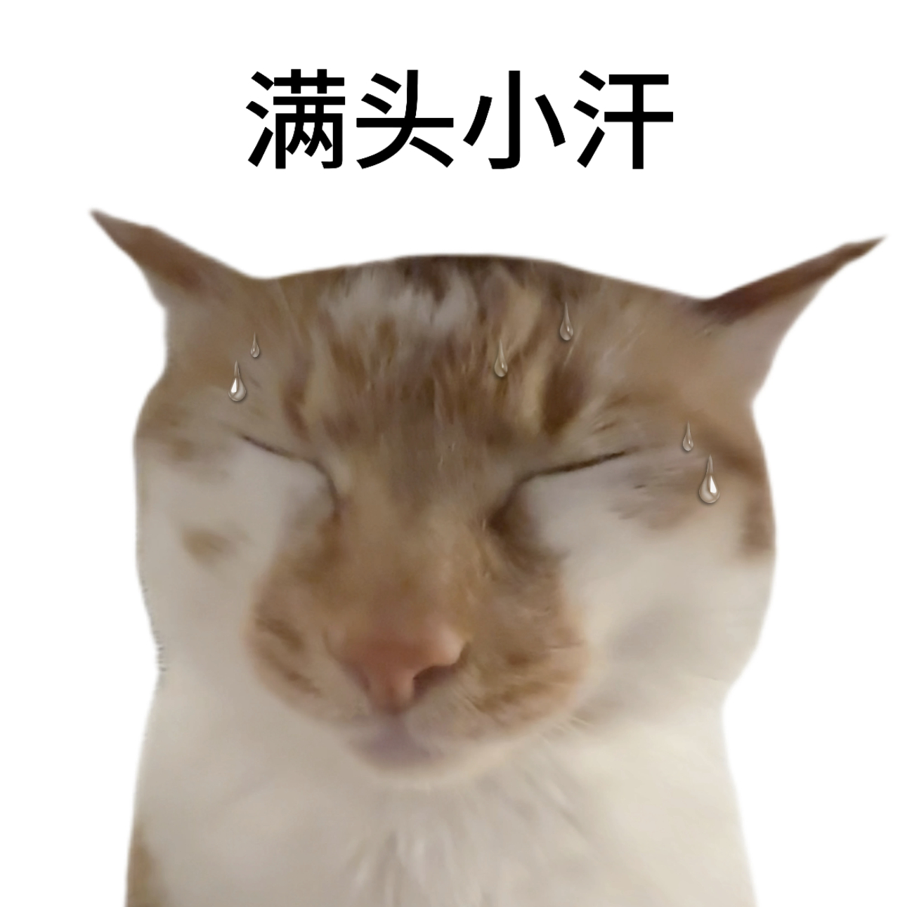 高温天每月电费超多少算败家 这有啥败家不败家的啊…夏天本来就热用电量大，只要不是