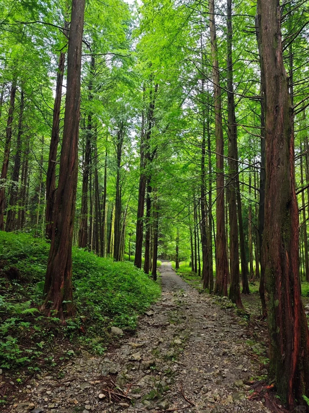 人在年轻时，心理韧性远没有想象中那么强。 如果持续被打击、否定、消耗...