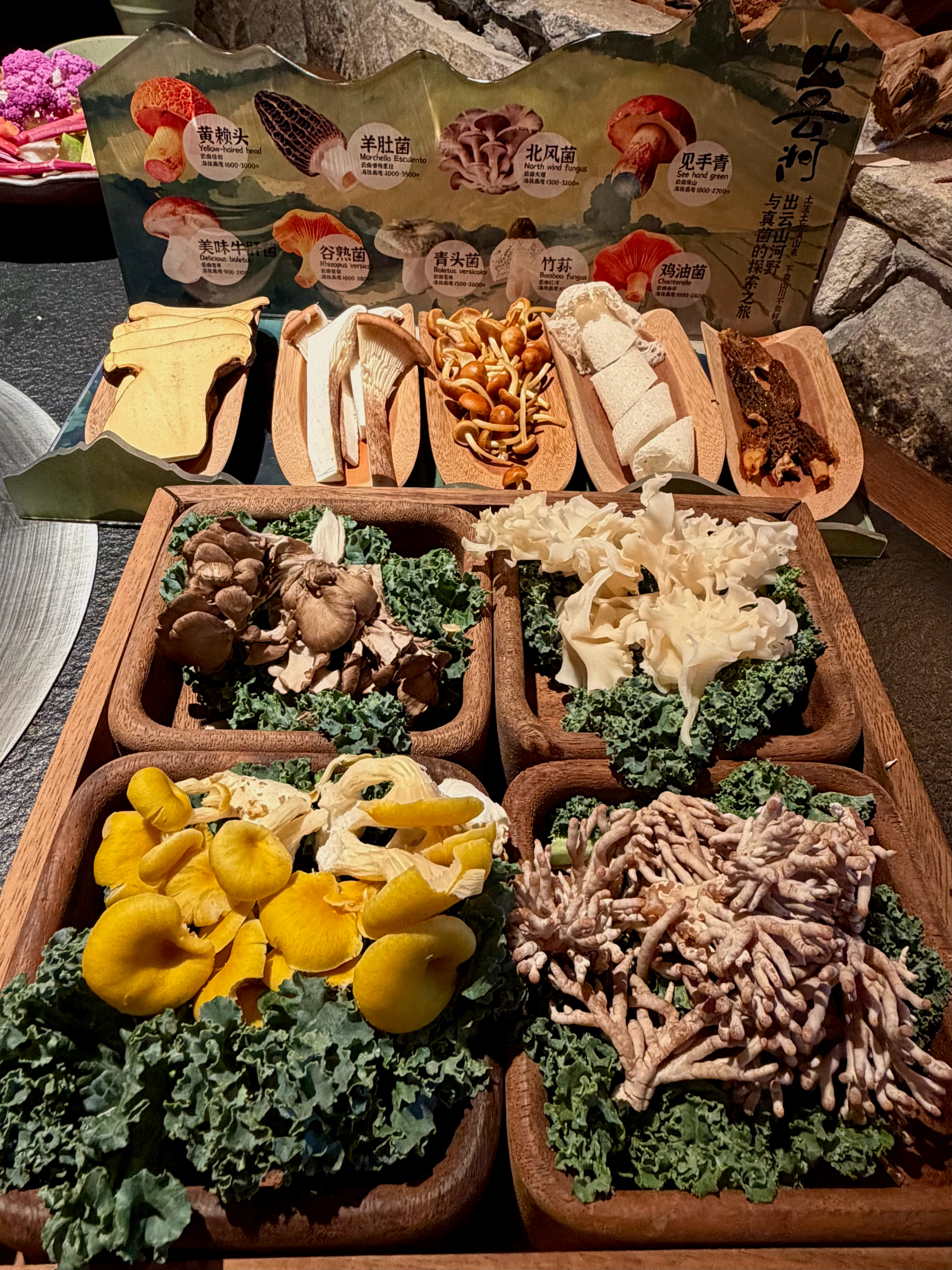 南京首店！南京首店！快去吃！！  南京雨花万象天地新开的云南山系火锅🍲木质装修