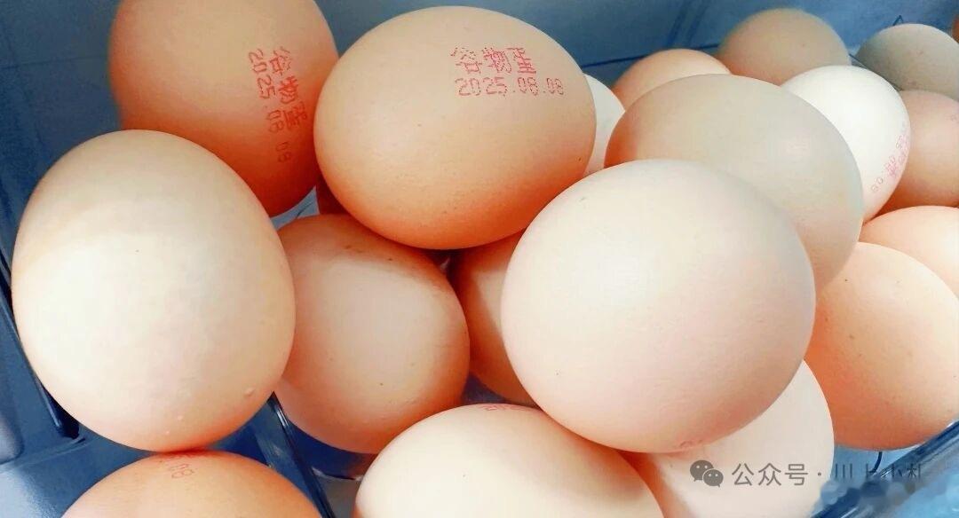一个骗子的自白30个鸡蛋15元，却能钓来一个老人一辈子的积蓄。这不是危言耸听，而