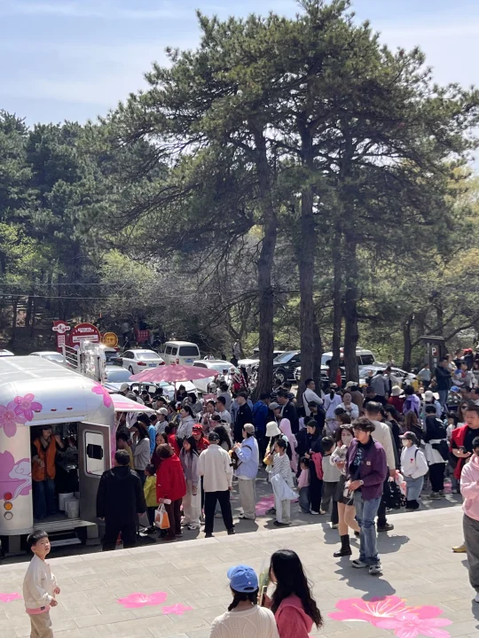 是沈阳！！真的是沈阳！！